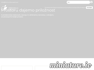 spletna stran