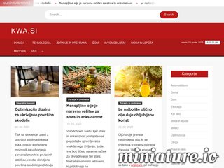 spletna stran