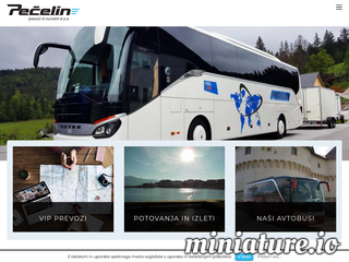 spletna stran