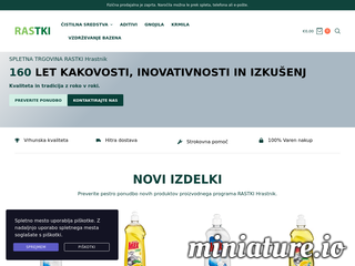 spletna stran