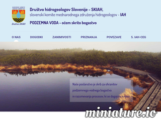 spletna stran