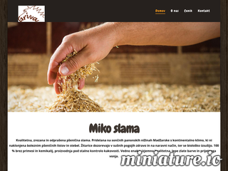 spletna stran