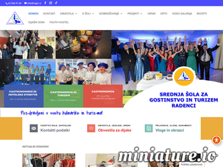 spletna stran
