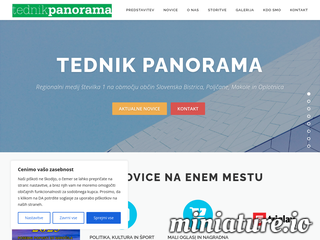 spletna stran