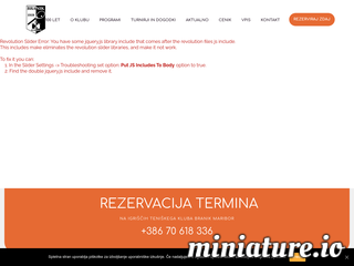 spletna stran