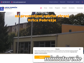 spletna stran