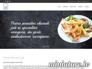 spletna stran