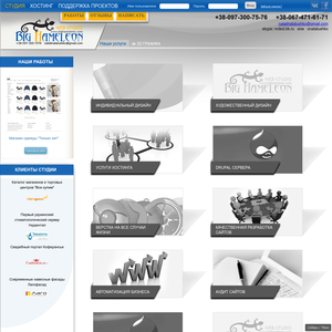 bighameleon.com