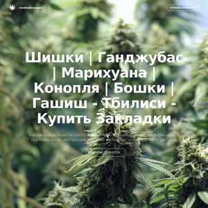 podolog.biz