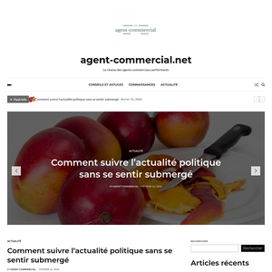 Aperçu de Agent Commercial