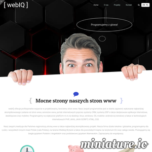 Miniatura Tworzenie stron www, usługi informatyczne łódź, hosting, webiq webiq.pl