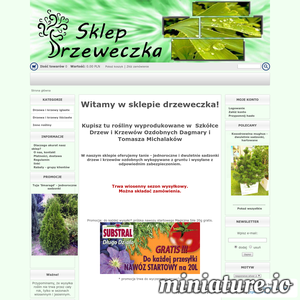 Miniatura Sadzonki drzew i krzewów www.drzeweczkaa.sklepna5.pl