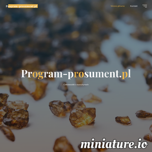 Miniatura Prosument www.program-prosument.pl