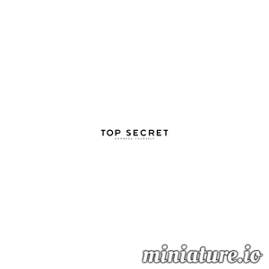 Miniatura Ubrania męskie i damskie – TOP SECRET www.topsecret.pl