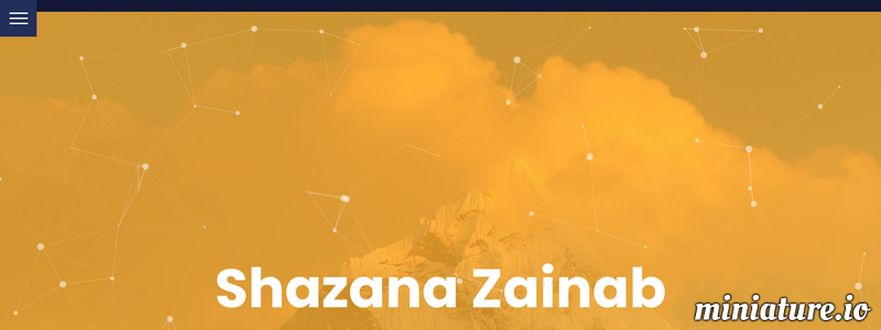 Shazana Zainab Website