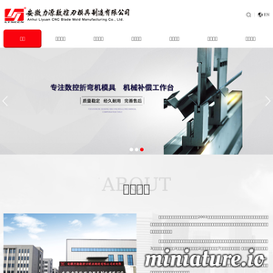 www.ahliyuan.com的网站缩略图