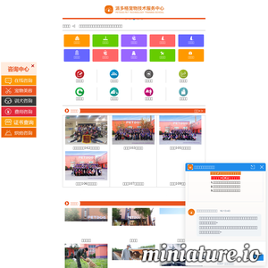 宠物美容师培训
