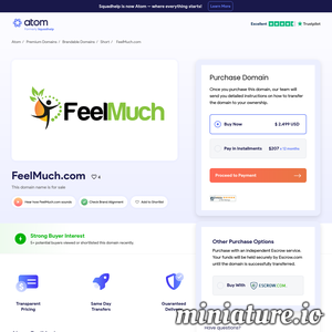 www.feelmuch.com的网站缩略图