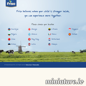 www.friso-baby.be的网站缩略图