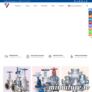 www.future-valve.com的网站缩略图