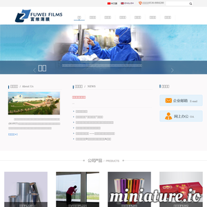 山东富维薄膜有限公司