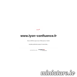 www.lyon-confluence.fr的网站缩略图