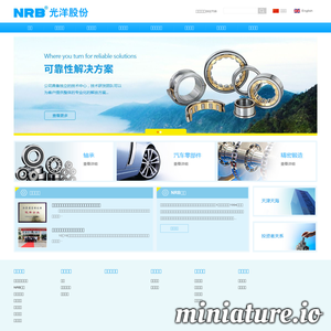 www.nrb.com.cn的网站缩略图