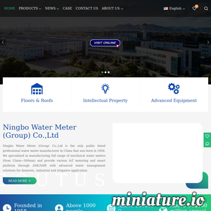 www.nwmwatermeters.com的网站缩略图