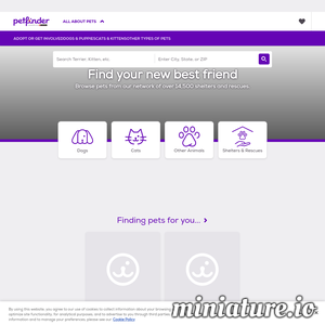 www.petfinder.com的网站缩略图