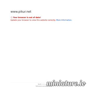 www.pikur.net的网站缩略图