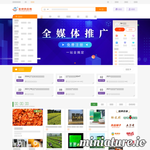 全球供应商