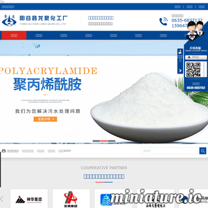 山东省阳谷县龙泉化工厂