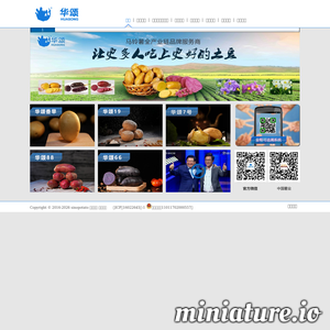 华颂土豆