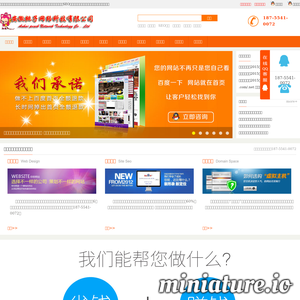 www.taoziwl.com的网站缩略图