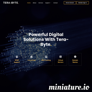 www.tera-byte.com的网站缩略图