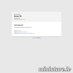 United Nations Volunteers