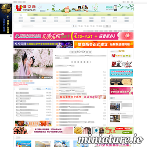 www.wangjing.cn的网站缩略图