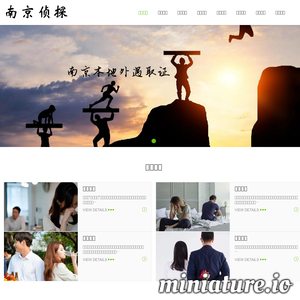 南京叶子商务调查公司