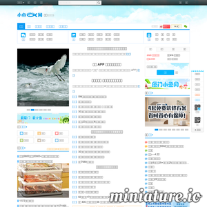 小鱼网