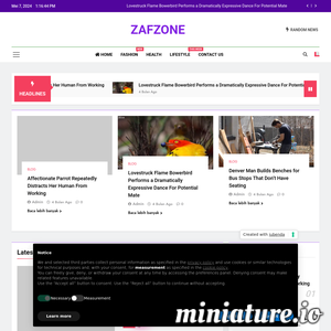 www.zafzone.com的网站缩略图