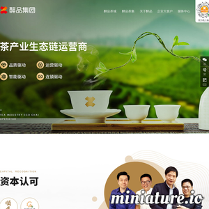 醉品商城---中国最专业的正宗品牌茶叶